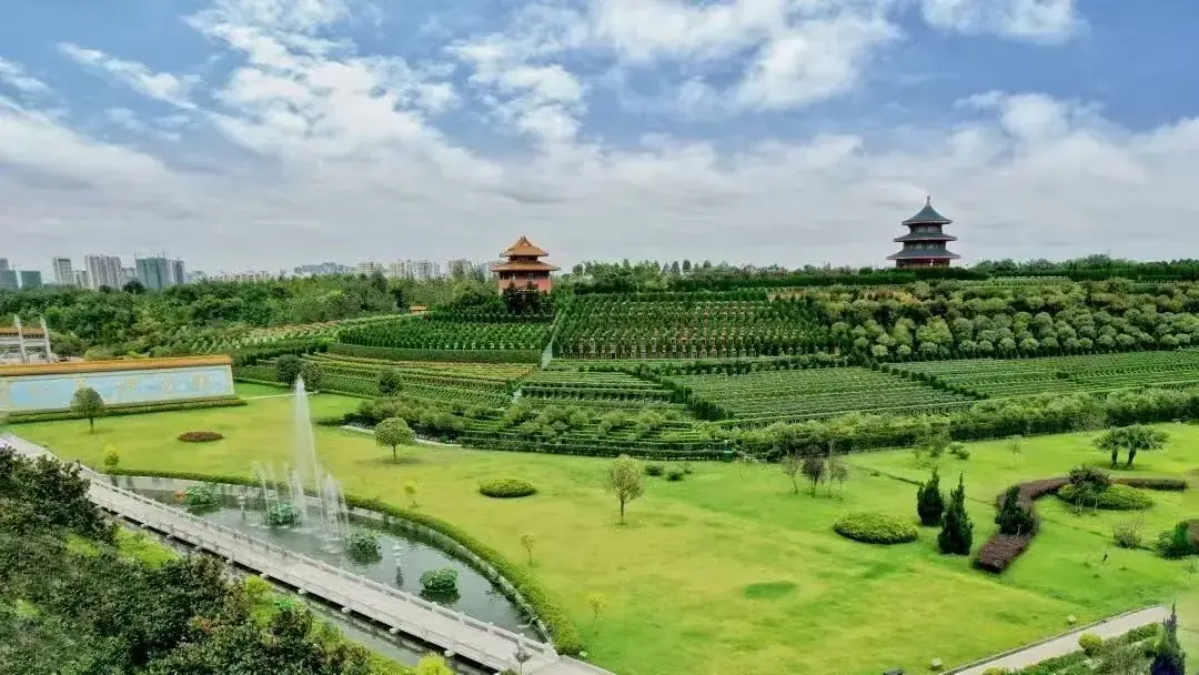 园区实景 · 全景航拍