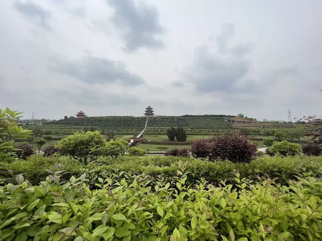 入口神道实景