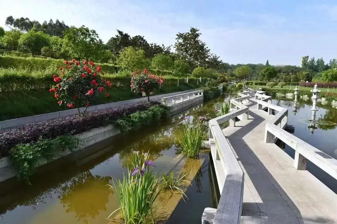 静心水景实景